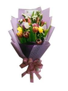 Tulips regalosapinas.com